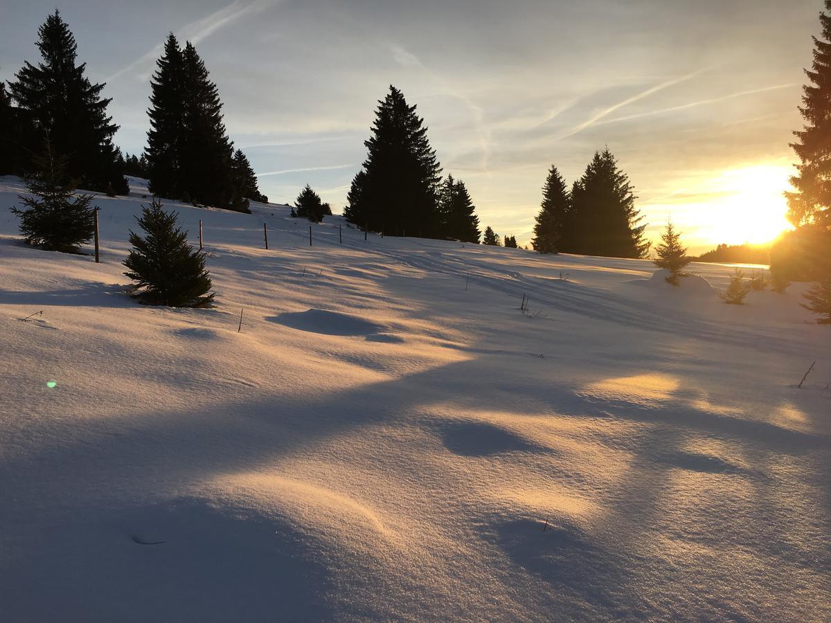 Schwarzwald-Hotel Kraeutle Feldberg  Εξωτερικό φωτογραφία